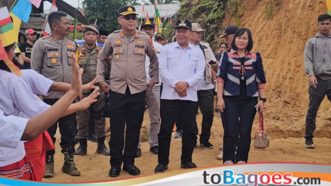 Bupati